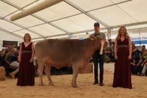 Mention Honorable Gesamtchampion OB BARON DELTA